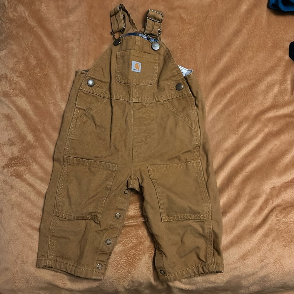 Carhartt Bibs